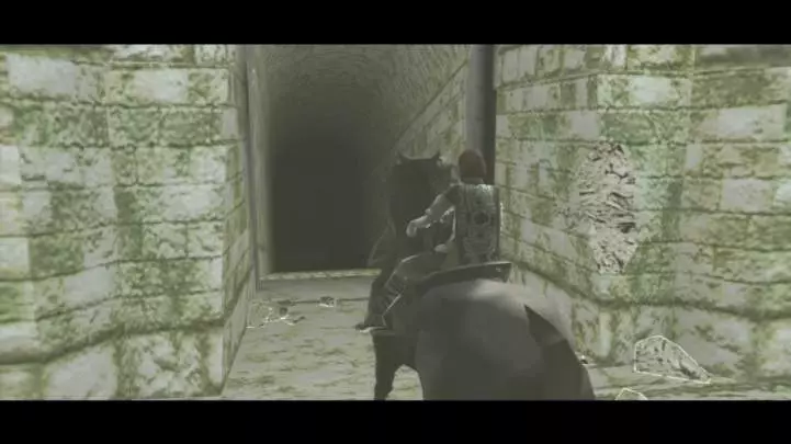 Ico and Shadow of the Colossus