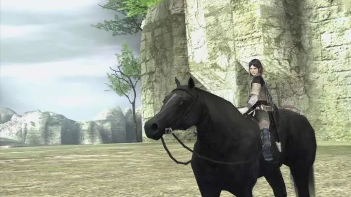 Ico and Shadow of the Colossus