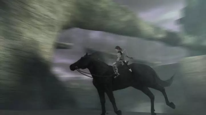 Ico and Shadow of the Colossus