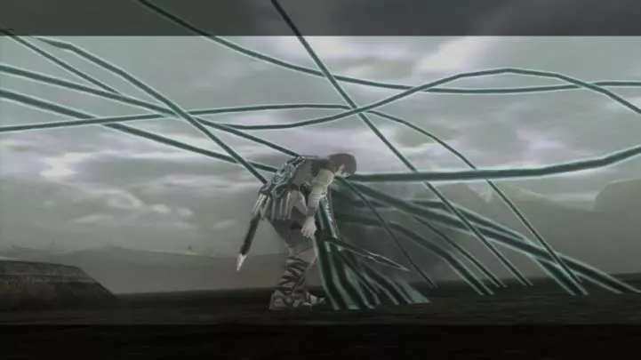 Ico and Shadow of the Colossus