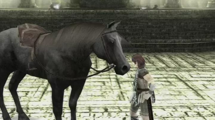 Ico and Shadow of the Colossus