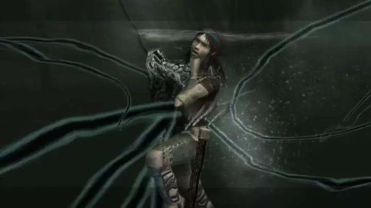 Ico and Shadow of the Colossus