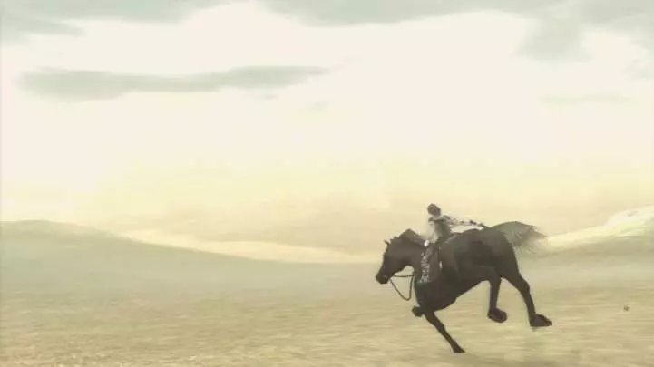 Ico and Shadow of the Colossus