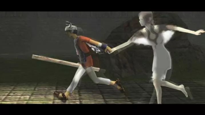 Ico and Shadow of the Colossus