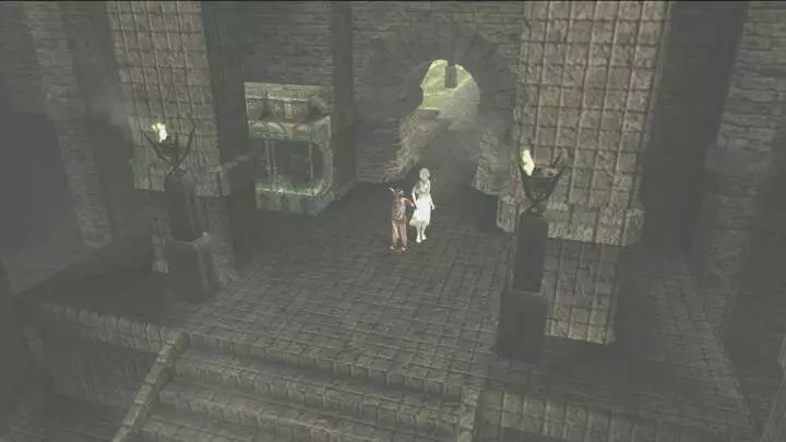 Ico and Shadow of the Colossus