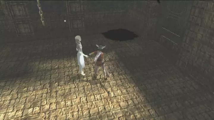 Ico and Shadow of the Colossus