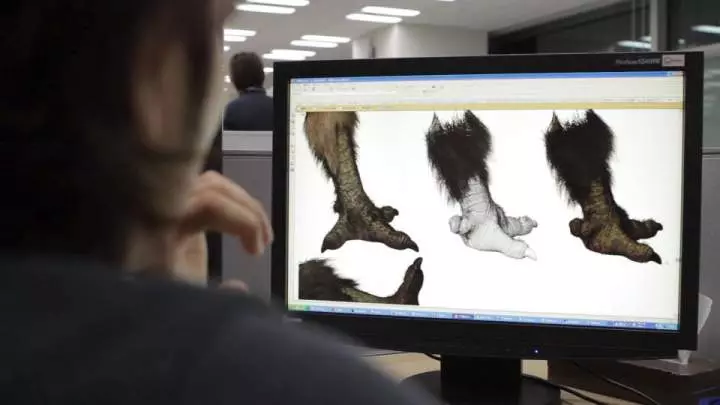 Ico and Shadow of the Colossus