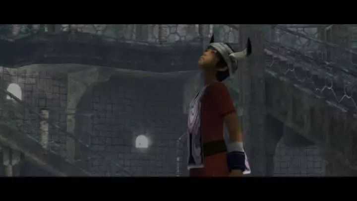 Ico and Shadow of the Colossus - PS3