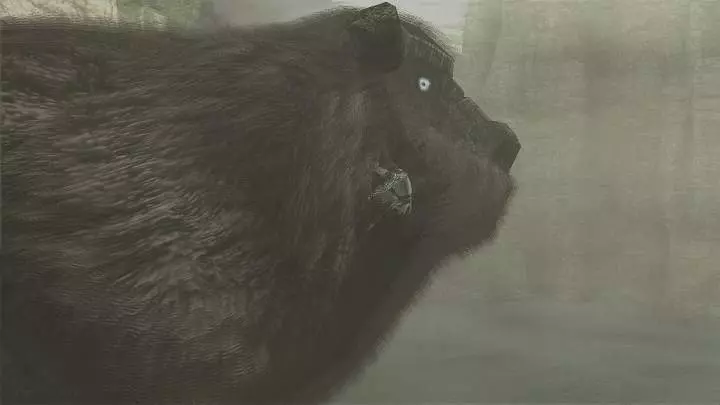 Ico and Shadow of the Colossus