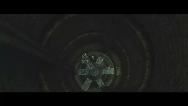 Ico and Shadow of the Colossus