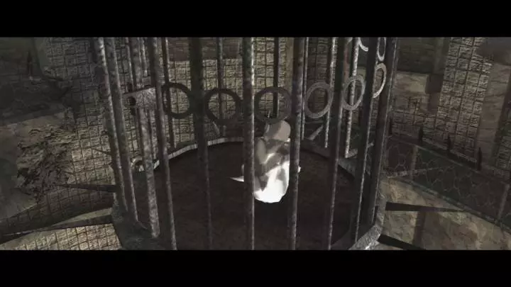 Ico and Shadow of the Colossus - PS3