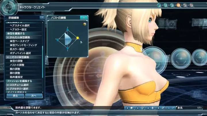 Phantasy Star Online 2 - PC