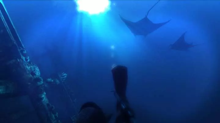 Depth Aquatic Stealth