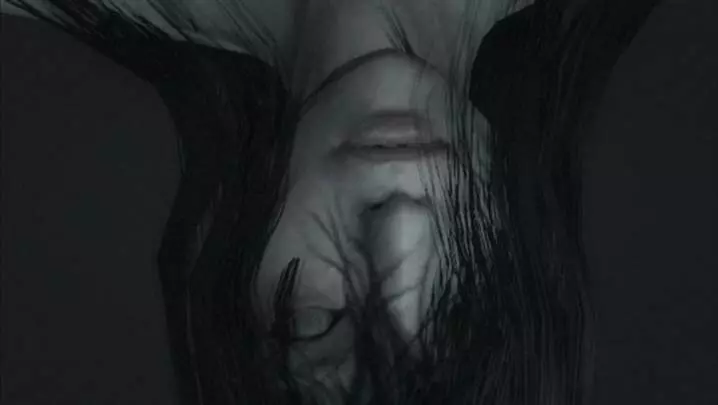 Project Zero 2 Wii Edition - Wii