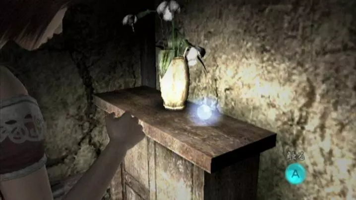 Project Zero 2: Wii Edition