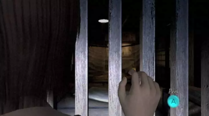 Project Zero 2: Wii Edition