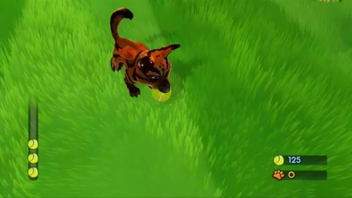 Mascotas Increíbles