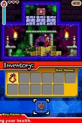 Shantae Risky's Revenge