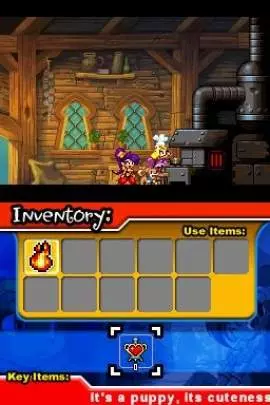 Shantae Risky's Revenge
