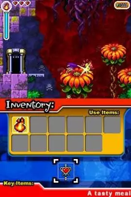 Shantae Risky's Revenge - DS