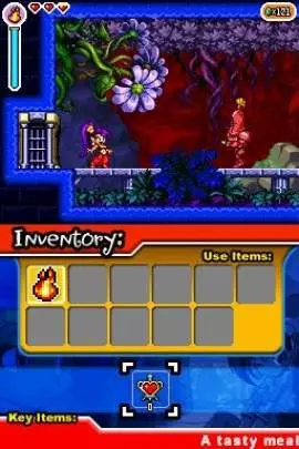 Shantae: Risky's Revenge