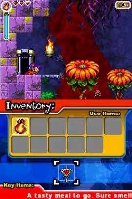 Shantae Risky's Revenge