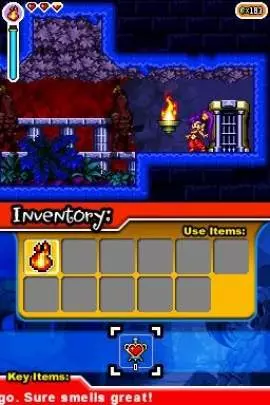 Shantae Risky's Revenge