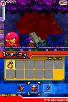 Shantae: Risky's Revenge