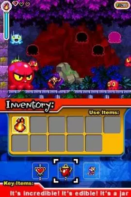 Shantae Risky's Revenge - DS