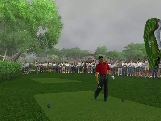 Tiger Woods PGA Tour 2004 - PC