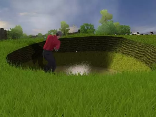 Tiger Woods PGA Tour 2004