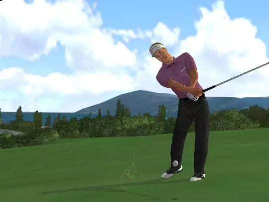 Tiger Woods PGA Tour 2004