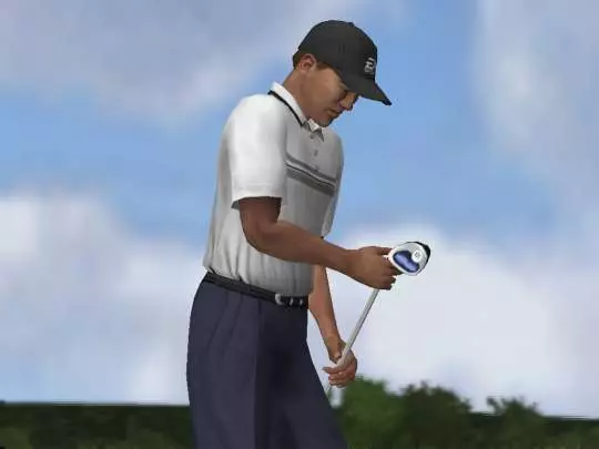 Tiger Woods PGA Tour 2004