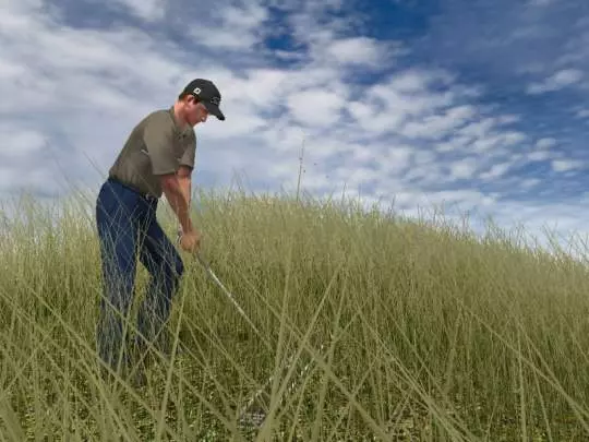 Tiger Woods PGA Tour 2004