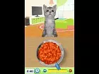 Petz Catz Playground - Imagen
