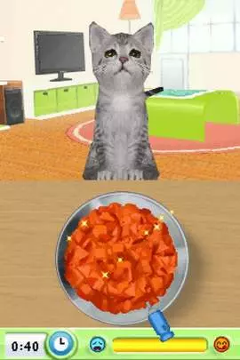 Petz Catz Playground