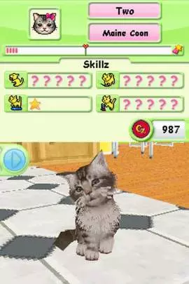 Petz Catz Playground