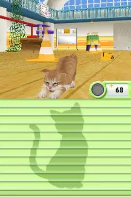Petz Catz Playground - DS