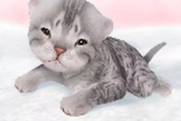 Petz Catz Playground