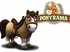 Ponyrama - Pantalla
