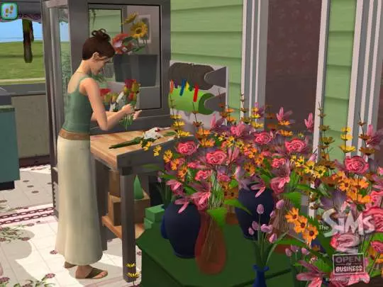 Los Sims 2 Abren Negocios