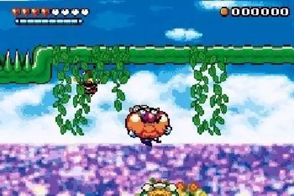 Wario Land 4