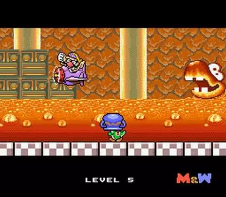 Mario and Wario - SNES