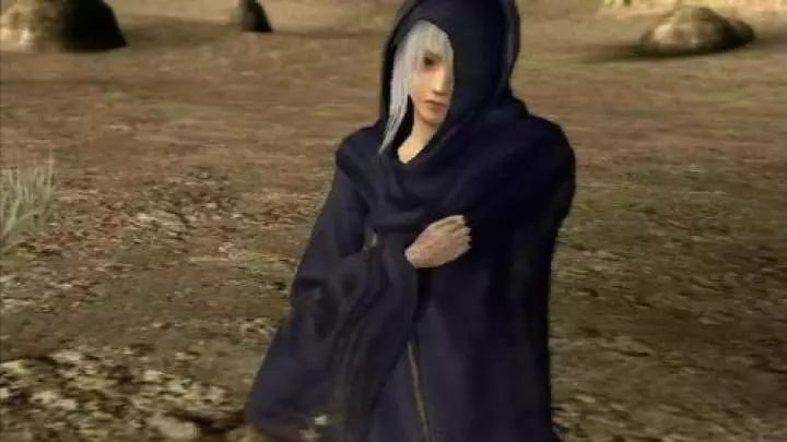 Pandora's Tower - Wii