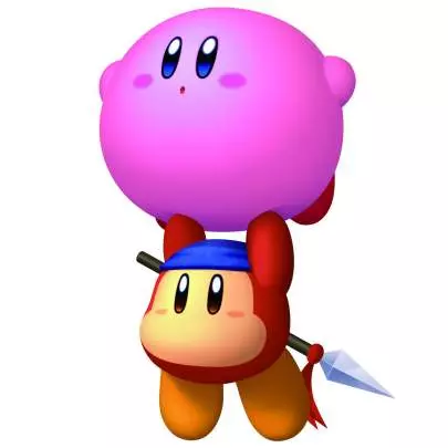 Kirby’s Adventure - Wii