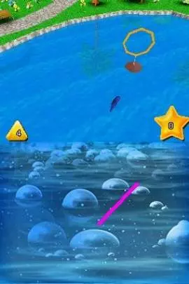 101 Dolphin Pets - DS