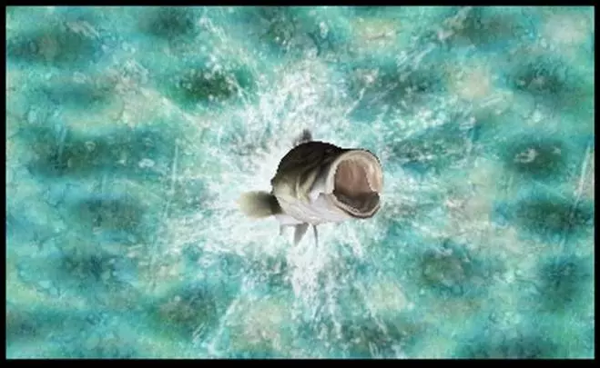 Reel Fishing Paradise 3D