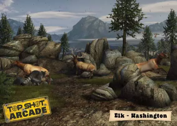 Top Shot Arcade - Wii