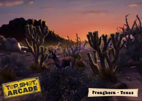 Top Shot Arcade - Wii