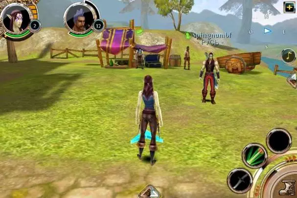 Order & Chaos Online